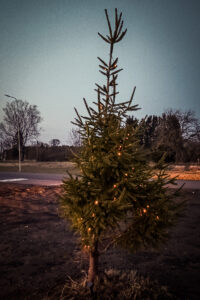 Eglīte izgreznota ar Ziemassvētku gaismām