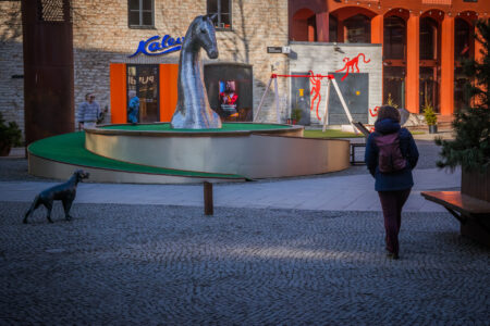 Suns, zirgs, Zane un pāris mērkaķu.